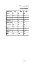 Biznesa plāns 'Biznesa plāns - atpūtas bāze', 12.