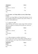 Referāts 'Līzinga uzskaite grāmatvedībā', 11.