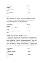 Referāts 'Līzinga uzskaite grāmatvedībā', 13.