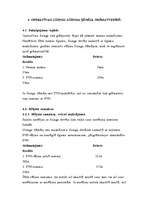 Referāts 'Līzinga uzskaite grāmatvedībā', 19.