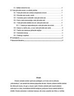 Referāts 'Ministru kabineta izdodamie akti', 2.