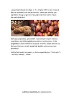 Konspekts 'Piegādātāja izvēle', 4.