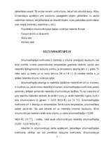 Referāts 'Siltumizolācijas un skaņu izolācijas materiālu  nozīme būvniecībā', 5.