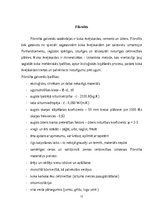 Referāts 'Siltumizolācijas un skaņu izolācijas materiālu  nozīme būvniecībā', 12.