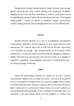 Referāts 'Siltumizolācijas un skaņu izolācijas materiālu  nozīme būvniecībā', 15.