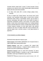 Referāts 'Speciālo ekonomisko zonu nozīme reģionālajā ekonomikā', 7.