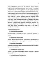 Referāts 'Speciālo ekonomisko zonu nozīme reģionālajā ekonomikā', 11.