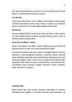 Referāts 'Speciālo ekonomisko zonu nozīme reģionālajā ekonomikā', 19.