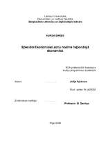 Referāts 'Speciālo ekonomisko zonu nozīme reģionālajā ekonomikā', 29.