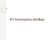 Prezentācija 'XY hromosomu slimības', 1.