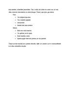 Konspekts 'Interneta ietekme uz komunikāciju', 3.