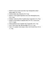 Referāts 'Totalitārisma laika valodas iezīmes Valmieras rajona laikrakstā "Liesma"', 13.