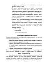 Referāts 'Panākumu kritiskie faktori', 5.