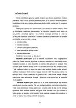 Referāts 'Reklāmas plānošana', 32.