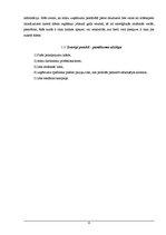 Biznesa plāns 'Biznesa plāns SIA "Ving"', 4.