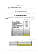 Biznesa plāns 'Biznesa plāns SIA "Ving"', 5.