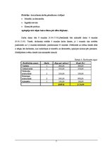 Biznesa plāns 'Biznesa plāns SIA "Ving"', 7.