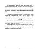 Biznesa plāns 'Biznesa plāns SIA "Ving"', 9.