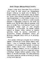 Referāts 'Senās Divupes kultūra', 2.