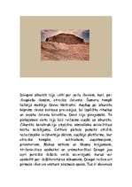 Referāts 'Senās Divupes kultūra', 6.