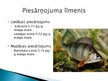 Prezentācija 'Noturīgās vidi piesārņojošās organiskās vielas Latvijas ūdeņu zivīs', 11.