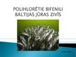 Prezentācija 'Noturīgās vidi piesārņojošās organiskās vielas Latvijas ūdeņu zivīs', 19.