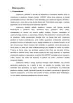 Biznesa plāns 'Pasākumu rīkošanas birojs', 10.