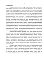 Biznesa plāns 'Pasākumu rīkošanas birojs', 14.