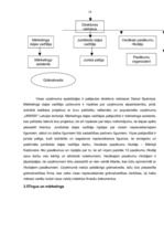 Biznesa plāns 'Pasākumu rīkošanas birojs', 18.