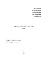 Referāts 'Starptautisko ziņu plūsma LNT un TV3 ziņās', 1.