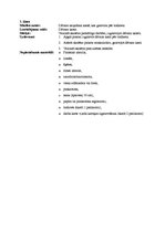 Prezentācija 'Konspekts mājturībā 3.klasei. Dāvanu saiņošana', 1.