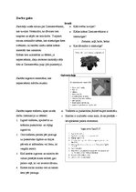 Prezentācija 'Konspekts mājturībā 3.klasei. Dāvanu saiņošana', 2.