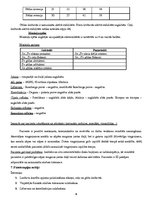 Prakses atskaite 'Muguras sāpju pacienta slimības vēsture', 6.