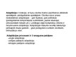 Diplomdarbs 'Mazbērnu adaptācija pirmsskolas izglītības iestādē', 71.