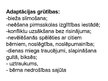 Diplomdarbs 'Mazbērnu adaptācija pirmsskolas izglītības iestādē', 72.