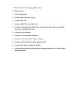 Konspekts 'Lasīšanas prasmju attīstīšana', 4.