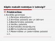 Prezentācija 'Iedzīvotāju ienākuma nodoklis un ar to saistīto darbību analīze', 10.