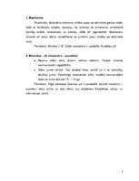 Konspekts 'Terminu - frontons, mansards, maskarons, mezonīns - skaidrojumi', 3.