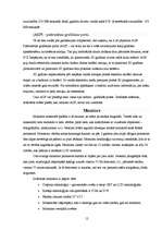 Konspekts 'Multimediju standarti', 12.