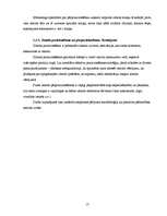 Referāts 'A/s "Bigbank" zīmola pozicionējums', 17.