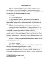 Referāts 'A/s "Bigbank" zīmola pozicionējums', 21.