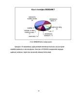 Referāts 'A/s "Bigbank" zīmola pozicionējums', 30.
