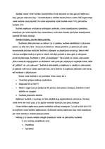 Referāts 'Latvijas Republikas budžets', 2.