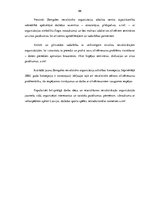 Diplomdarbs 'Zemgales nevalstisko organizāciju atbalsta centra ārējo sakaru attīstības iespēj', 66.