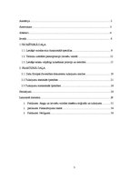 Referāts 'Leksikas un sintakses vienību tulkošanas problēmas Eiropas Savienības dokumentos', 5.