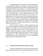 Referāts 'Leksikas un sintakses vienību tulkošanas problēmas Eiropas Savienības dokumentos', 14.