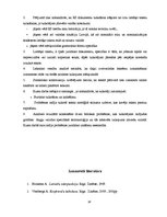 Referāts 'Leksikas un sintakses vienību tulkošanas problēmas Eiropas Savienības dokumentos', 28.