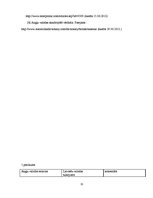 Referāts 'Leksikas un sintakses vienību tulkošanas problēmas Eiropas Savienības dokumentos', 31.