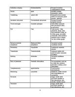 Referāts 'Leksikas un sintakses vienību tulkošanas problēmas Eiropas Savienības dokumentos', 32.