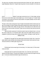 Referāts 'Tigers', 2.